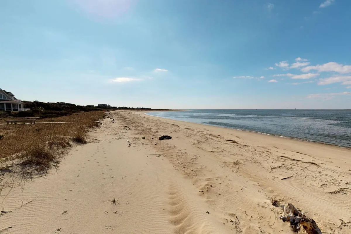 A serene sandy beach stretches out under a bright blue sky, with gentle ocean waves lapping the shore and a distant shoreline in view. The openness invites leisurely strolls and plenty of space for pets to play or relax beside their owners.