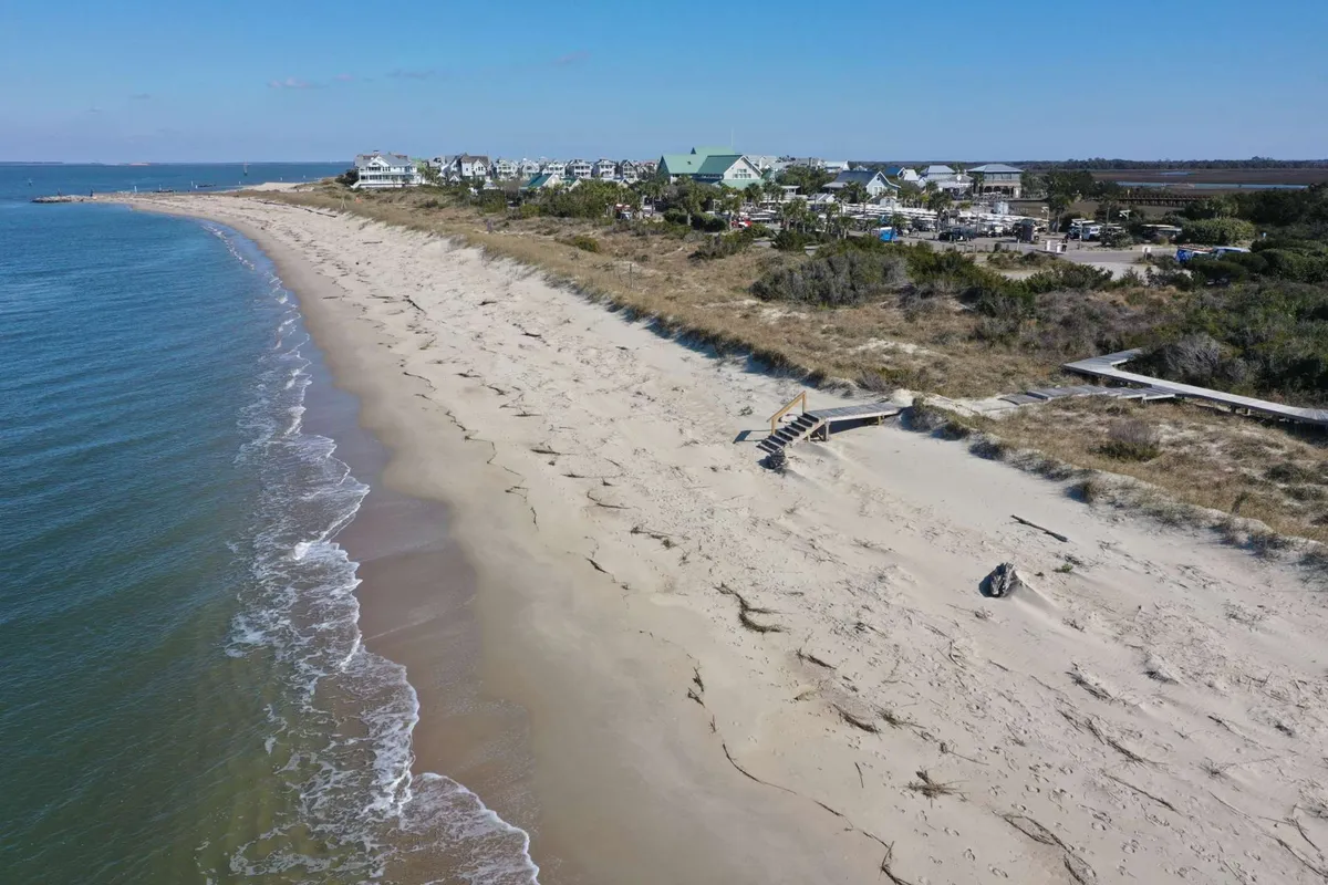 A relaxed shoreline scene featuring a sandy beach, gentle waves, and a boardwalk leading towards the water. Distant houses and open beach space create a sense of community and room for pets and owners to explore together.