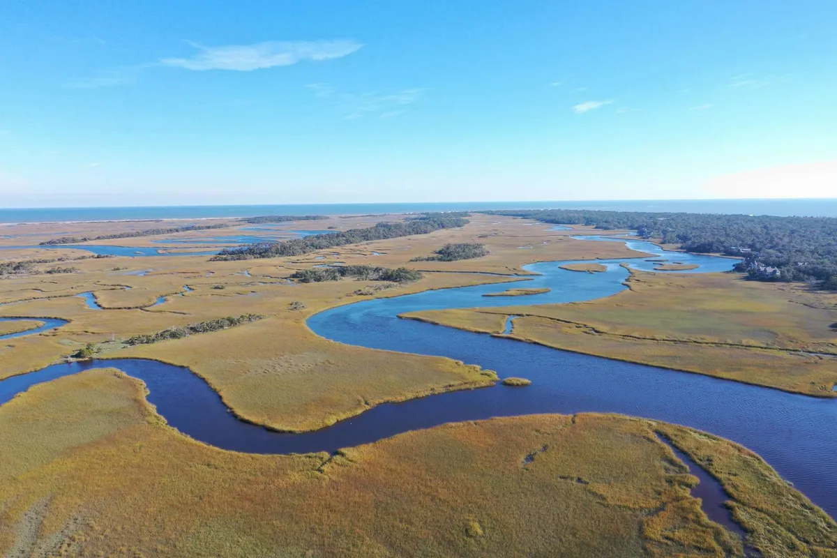 A breathtaking view of a meandering river cutting through golden marshland, framed by a distant tree line and blue sky. The scene is ideal for bird watching, kayaking, and eco-tours.